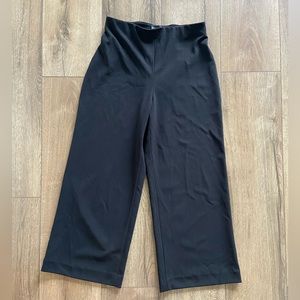 Express Wide Leg Crop Dress Pants